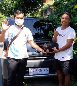 Dealer Daihatsu Lombok Timur Dealer Daihatsu Lombok Timur